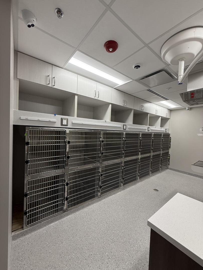 Eastern Carolina Veterinary Med Center